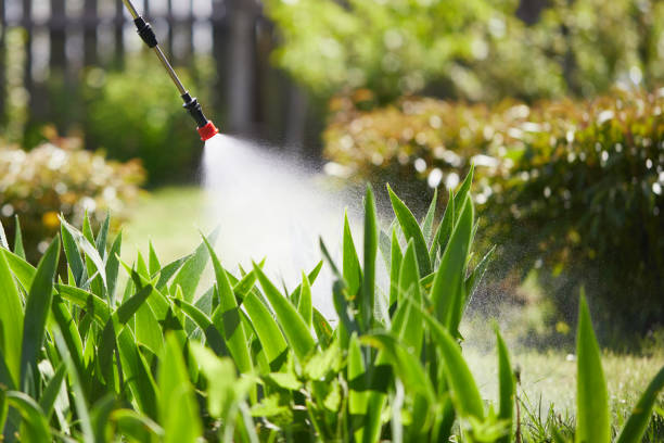24/7 Emergency Mosquito Control experts in Roundup, MT